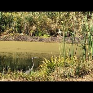 Meet your Posher, Ann